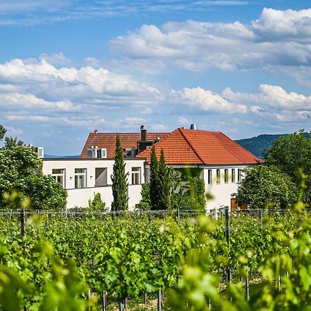 Wirtshaus Leindl Hotel Krems Kültér fotó